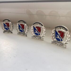 Lot of 4 Traditional Bavarian German Unterwossen Hat Lapel Pins Folk